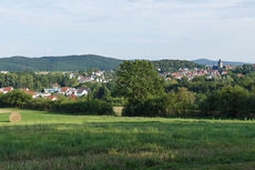 Naumburger Jugendfeuerwehr hilft an der Weingartenkapelle (Foto: Karl-Franz Thiede)